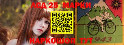 крисы Апшеронск