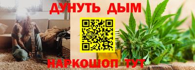 мяу мяу мука Гай