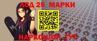 мдпв Гатчина
