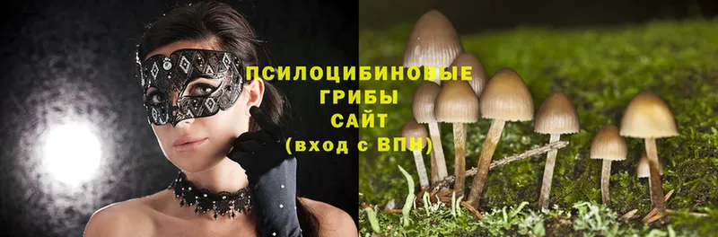 где продают   Санкт-Петербург  Псилоцибиновые грибы GOLDEN TEACHER 