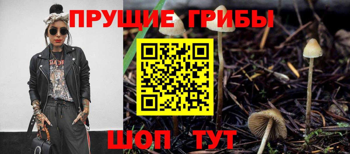 Санкт-Петербург  Псилоцибиновые грибы Cubensis  Вход с VPN  Галлюциногенные грибы Cubensis 