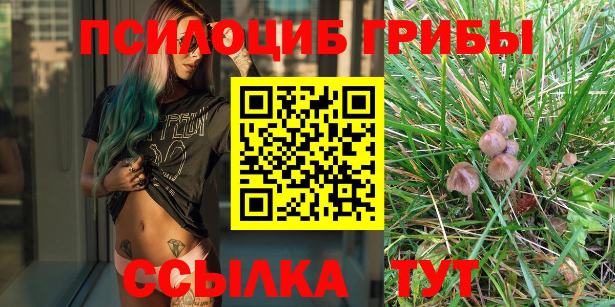 Галлюциногенные грибы Psilocybine cubensis  Галлюциногенные грибы Psilocybine cubensis  Санкт-Петербург 