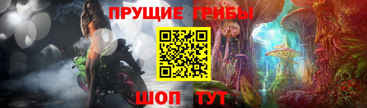 Галлюциногенные грибы Psilocybine cubensis Санкт-Петербург