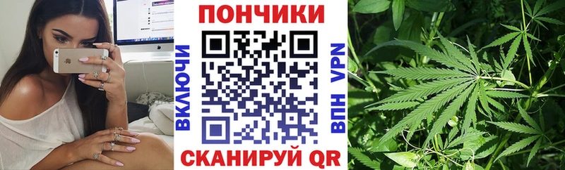 Марихуана план  Санкт-Петербург 